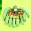 Reliable Fresh Banana Supplier