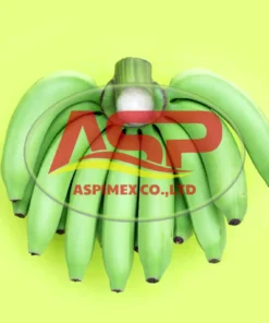 Reliable Fresh Banana Supplier