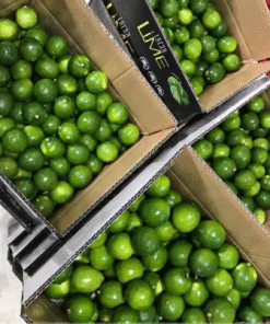 Alternative view of Vietnamese Fresh Lime