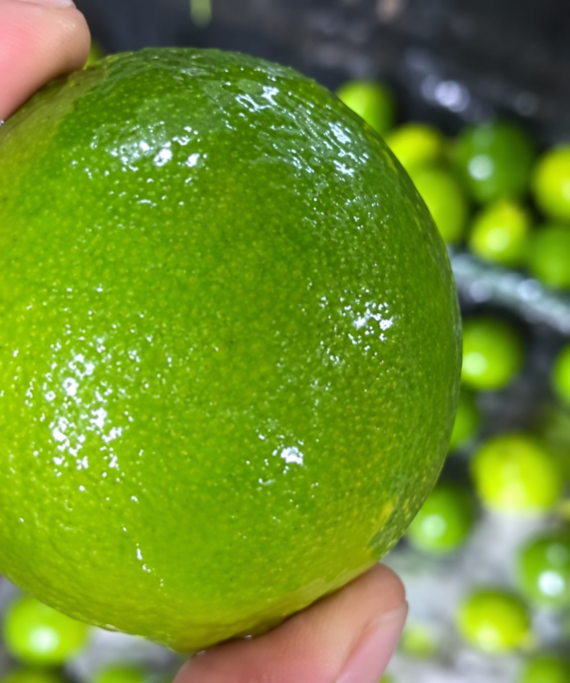 Vietnamese Fresh Lime - Image 3