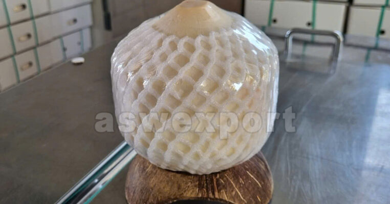 Vietnamese fresh coconut fully peeled and wrapped with protective foam net for export