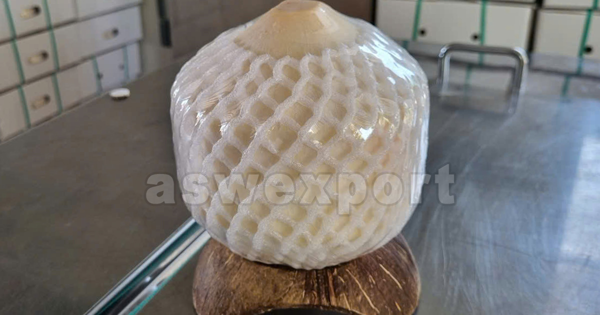 Vietnamese fresh coconut fully peeled and wrapped with protective foam net for export